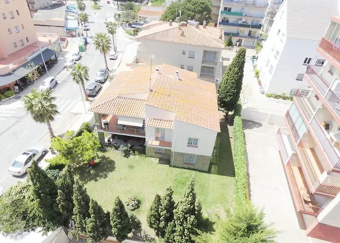 Daire Bora 5-c